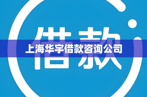 上海华宇借款咨询公司 上海华宇借款咨询公司