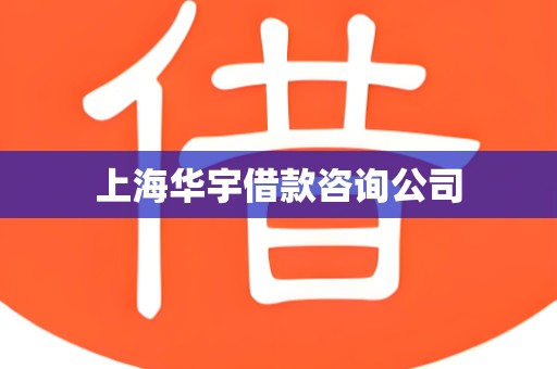 上海华宇借款咨询公司