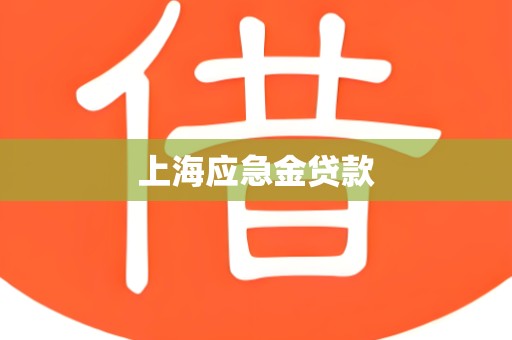 上海应急金贷款