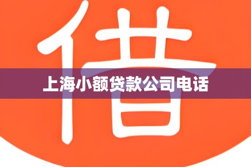 上海小额贷款公司电话