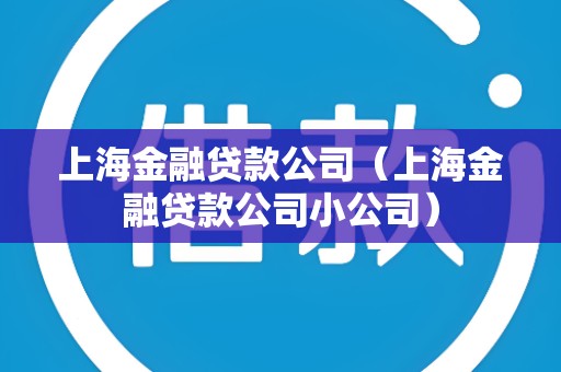 上海金融贷款公司（上海金融贷款公司小公司）