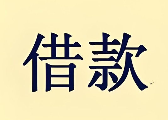 上海华宇借款咨询公司